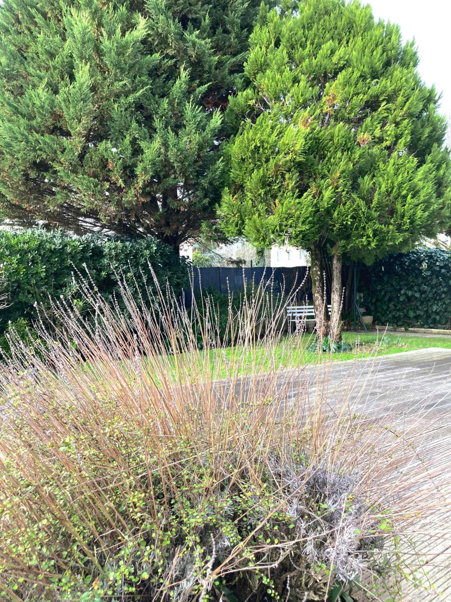 Maison Centre Ville Avec Jardin , Terrasse, Et Garage Velos La Rochelle  Eksteriør billede